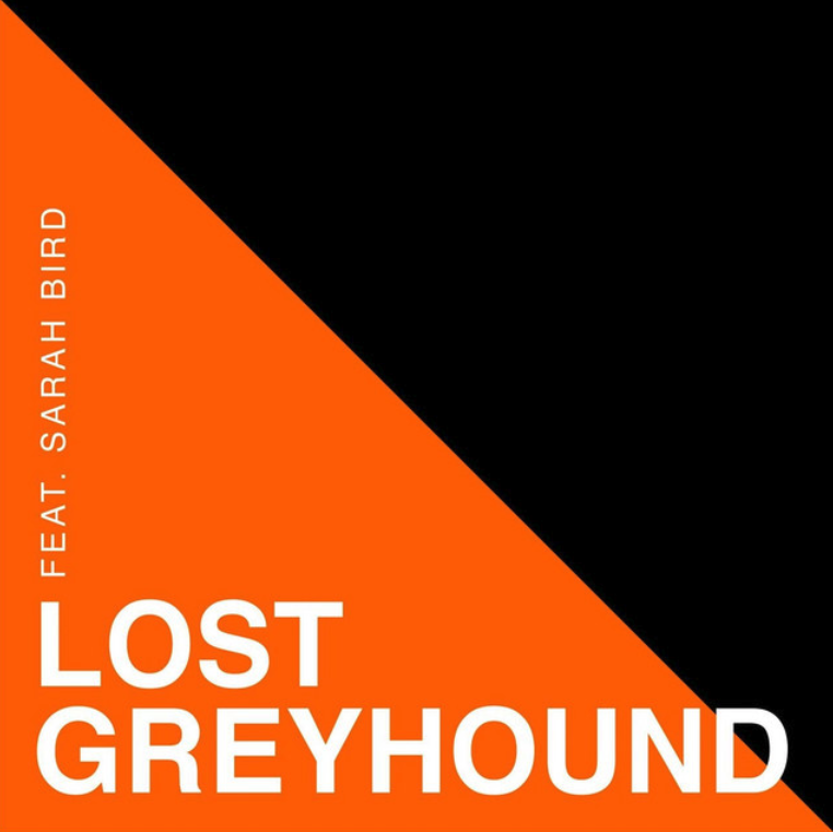 circle lost greyhound